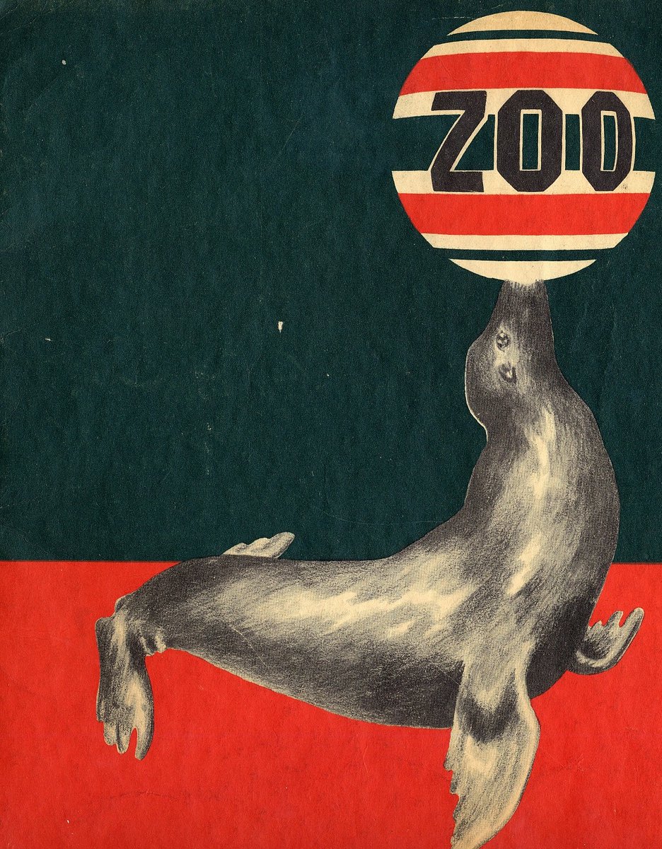 물개가 코 위에 공을 올린 사진. 공에 Zoo라고 적혀 있다.